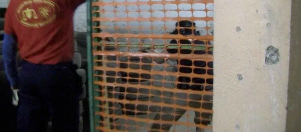 Winter shoot Arras 2015